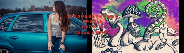 круглые Алексеевка