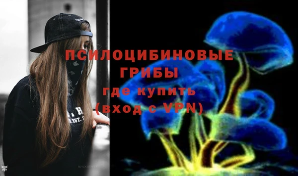 герыч Алексин