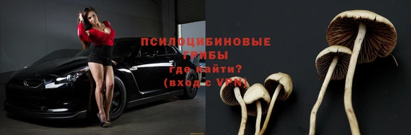 круглые Алексеевка