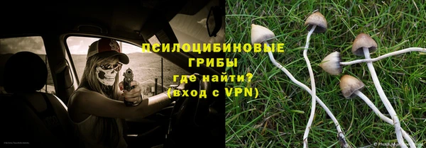круглые Алексеевка