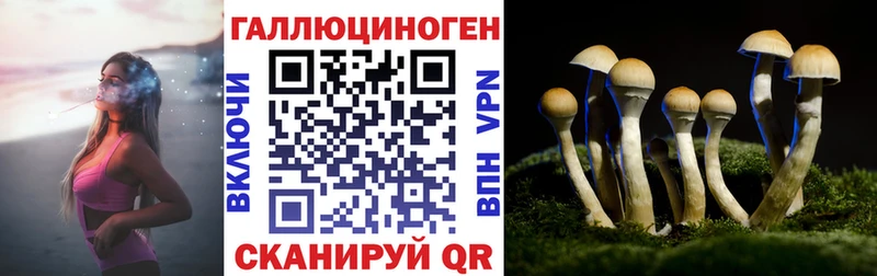Галлюциногенные грибы GOLDEN TEACHER  Апшеронск 